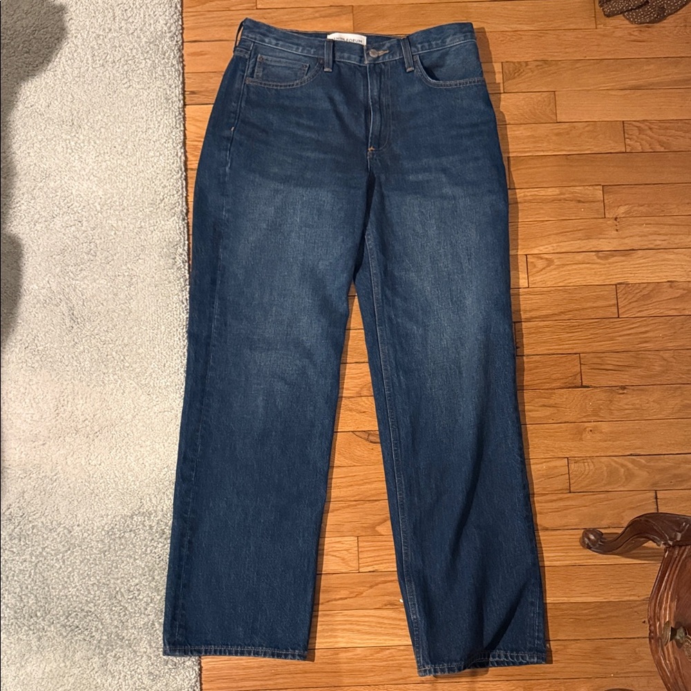 Aritzia Iggy Low Rise Jeans